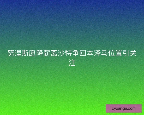 努涅斯愿降薪离沙特争回本泽马位置引关注