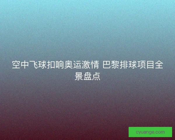 空中飞球扣响奥运激情 巴黎排球项目全景盘点