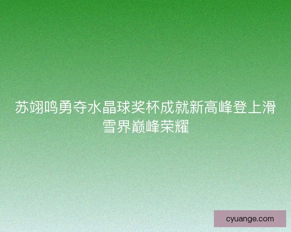 苏翊鸣勇夺水晶球奖杯成就新高峰登上滑雪界巅峰荣耀